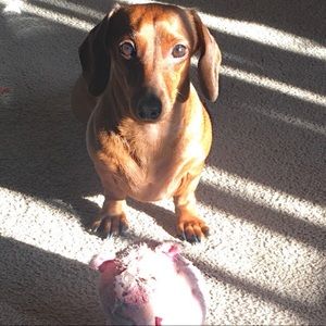 Meet your Posher, Linda